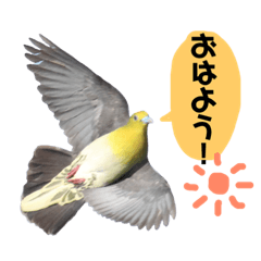 [Komatan official]Aobato stamp