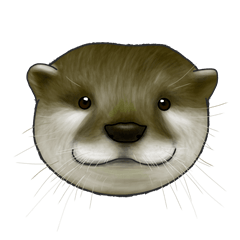 Life of Asian Small Clawed Otter
