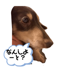 HAKATAMARRON