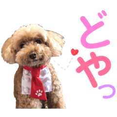 Momo_20190716163548