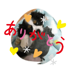 hide_20190716175406