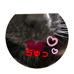 Hana_20190716172913