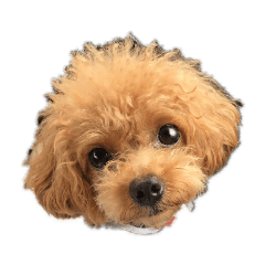 YUKARI_20190716190054