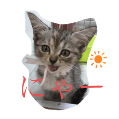ha_20190716192454