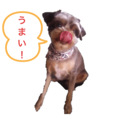 Miyuu_20190716215828