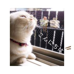 atsu_20190716185245