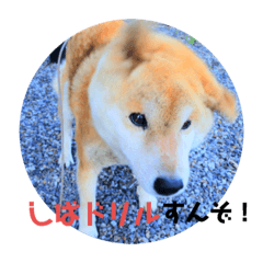 jun_20190716215953