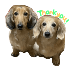 Natsumi_20190716184756