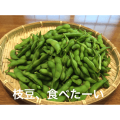 mochida_20190716222326