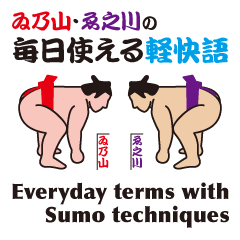 Everyday terms with Sumo techniques
