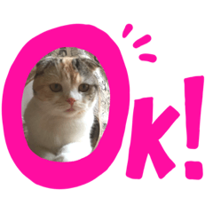 yamamiho_20190717131420