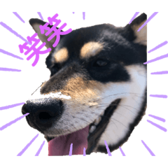 kayo_20190717092838