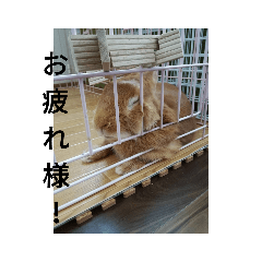 kazuki_20190717132153