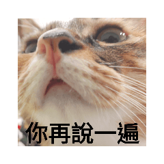 哈子&米歐