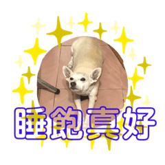 皮皮生活篇