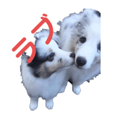 My_20190717165409