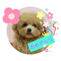 Mayumi_20190717165640