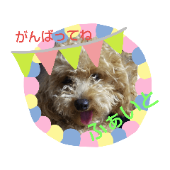Mayumi_20190717170048