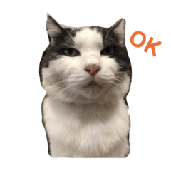 ayumi_20190717170907