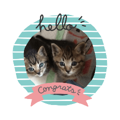 kuu_20190717181219