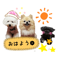 ikumi_20190717185402