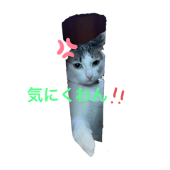 pon_20190717141224