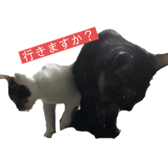ran_20190717215928