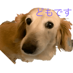 ken_20190718014425