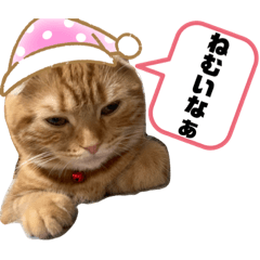 nanami_20190718074158