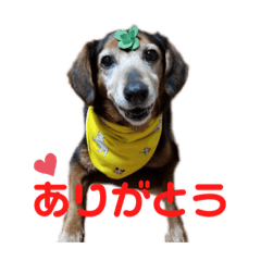 peace_20190718071915