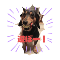 PON_20190718021905