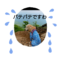 smile_20190718091839