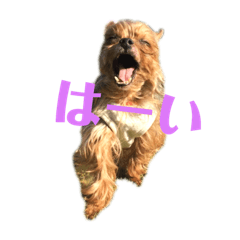 Haruna_20190718081115