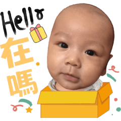 小 圓 寶
