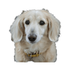 YUKARI_20190718110704