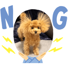 Maco_20190718030043 - Stiker LINE | LINE STORE