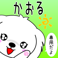 Kaoru only Cute Maltese Sticker