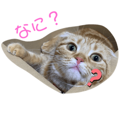 nanami_20190718060731