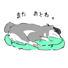 Kuroshiba's dream