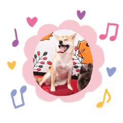 MARON_20190718132822
