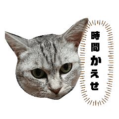 Chisato_20190718143656