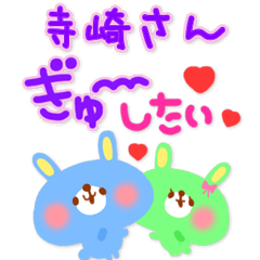寺崎さん❤️専用<ジャパカワ告白系>