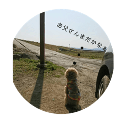 riku_20190718152711