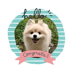 NATSUMI_20190717154409