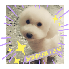 Hairy boy_20190719002029 - LINE スタンプ | LINE STORE