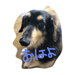 marina_20190718194029