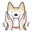 Shiba Inu (Shiba-Dog) stickers vol.2 tw
