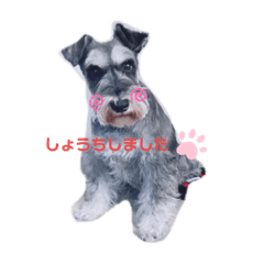 NATSUMI_20190718210853