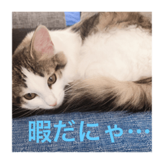 natsumi_20190718211114