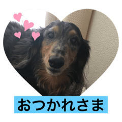 MEG_20190718210900